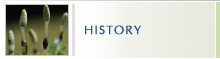 HISTORY