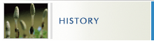 HISTORY