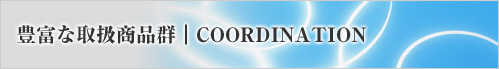 �L�x�Ȏ戵���i�Q�bCOORDINATION