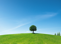 RESPONSE OF CHEMICAL SUBSTANCE MANAGEMENT