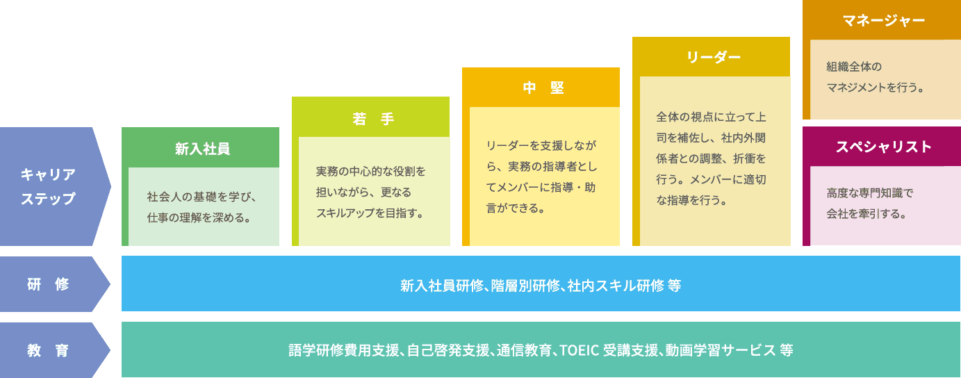 キャリアステップ / 研修・教育制度のイメージ