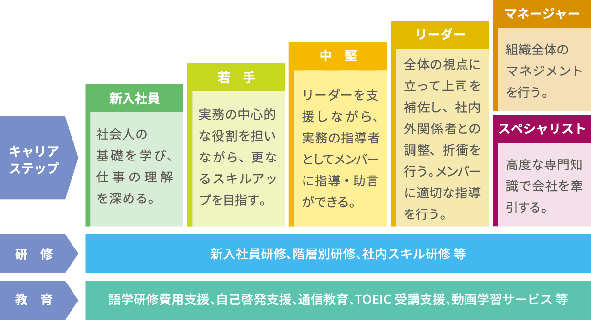 キャリアステップ / 研修・教育制度のイメージ